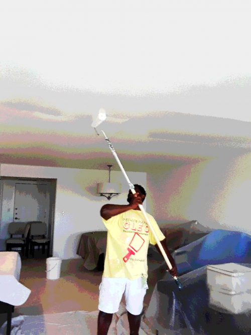 Ceiling Painting by Cleo Property Service